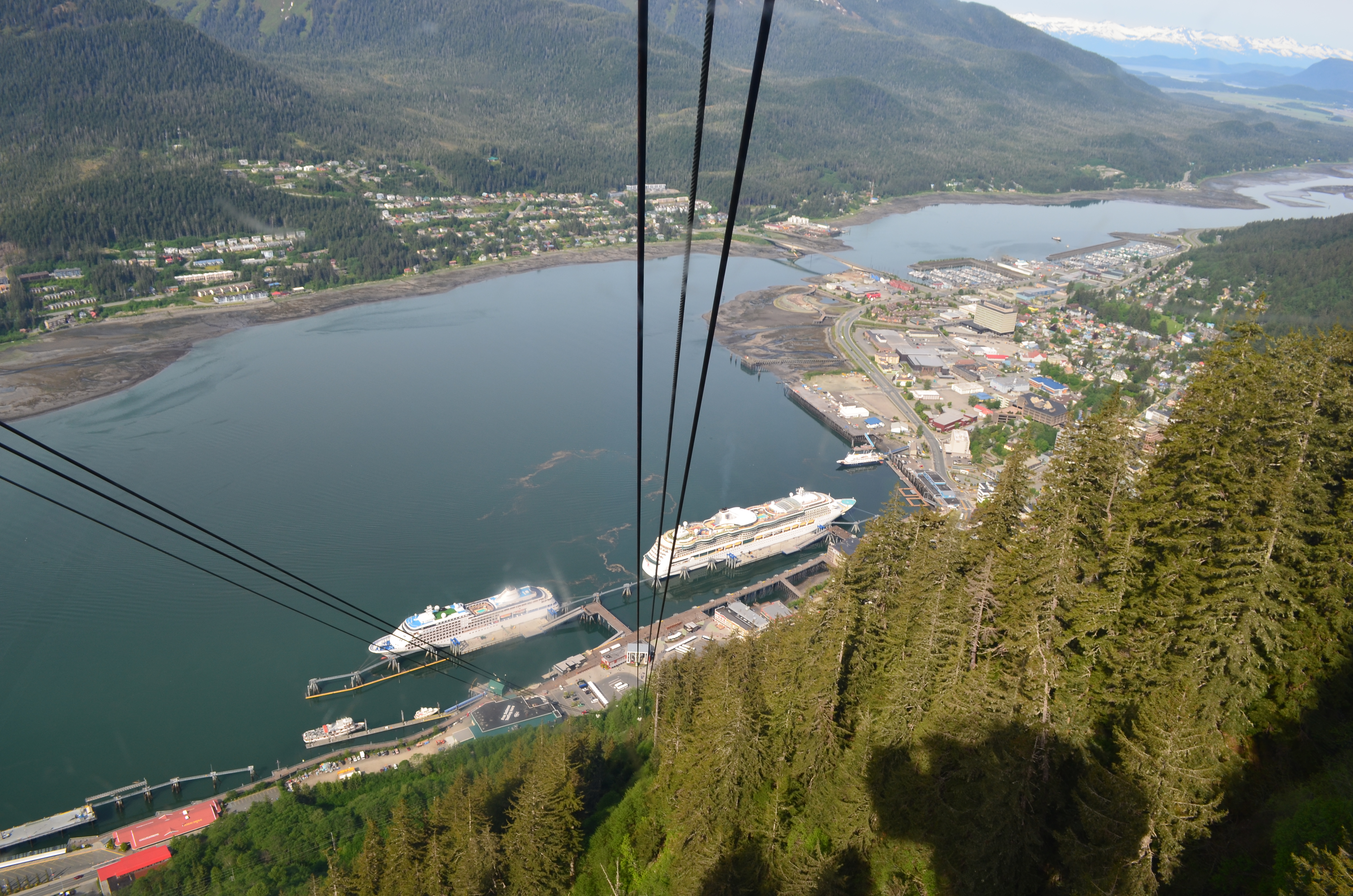 ./2017/08 - Alaska Cruise/08 - Juneau/DSC_0878.JPG